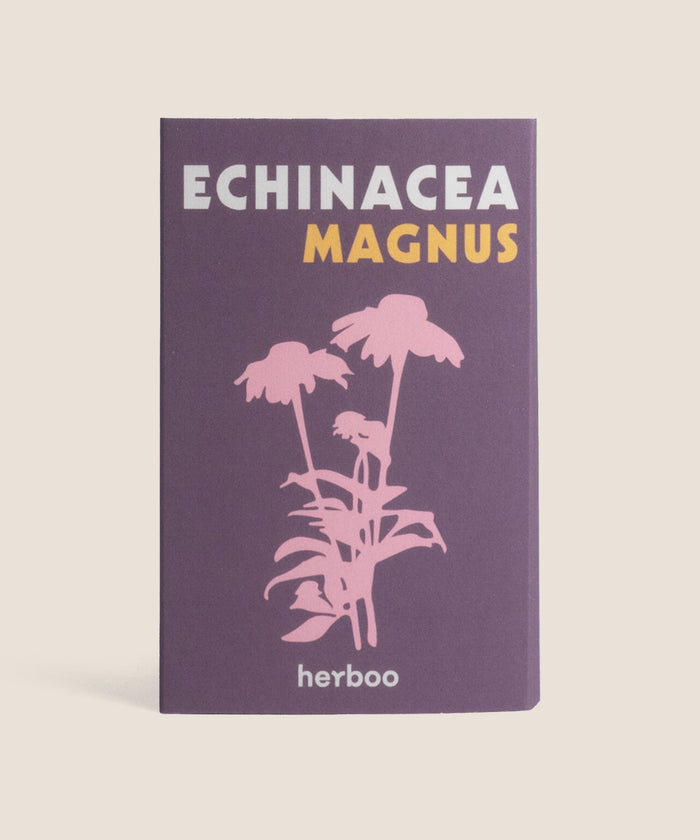 Seed Pack - Echinacea 'Magnus'