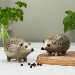 Hannah Turner Hand-Made Ceramic 'Hedgehog'  Salt and Pepper Shakers