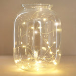 Gold Wire 30 LED Light Strand