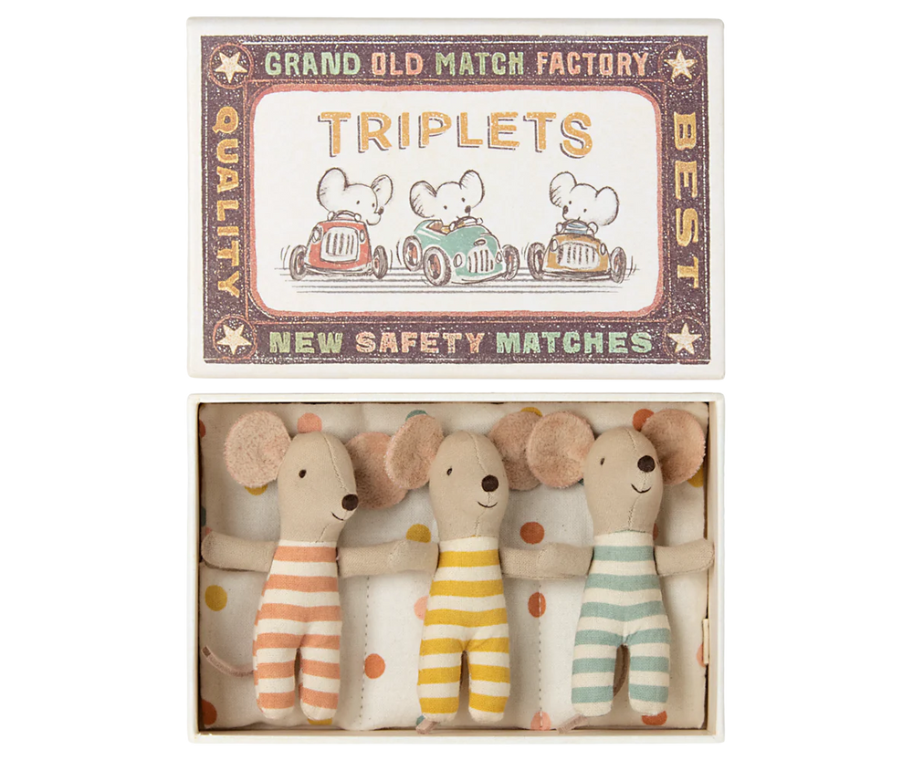 Triplets - Baby Mice in a Matchbox