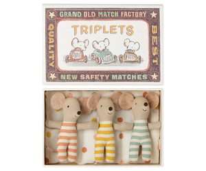 Triplets - Baby Mice in a Matchbox