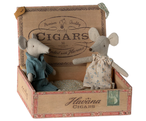 Mum and Dad Mice in a Cigarbox