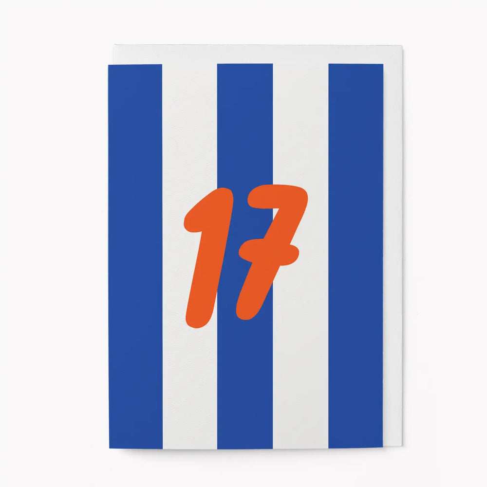 Age 17 Birthday Greetings Card