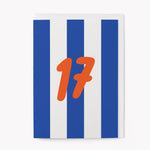 Age 17 Birthday Greetings Card