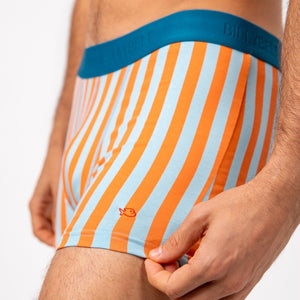 Boxer Briefs in Organic Cotton - Riviera (Boxed)