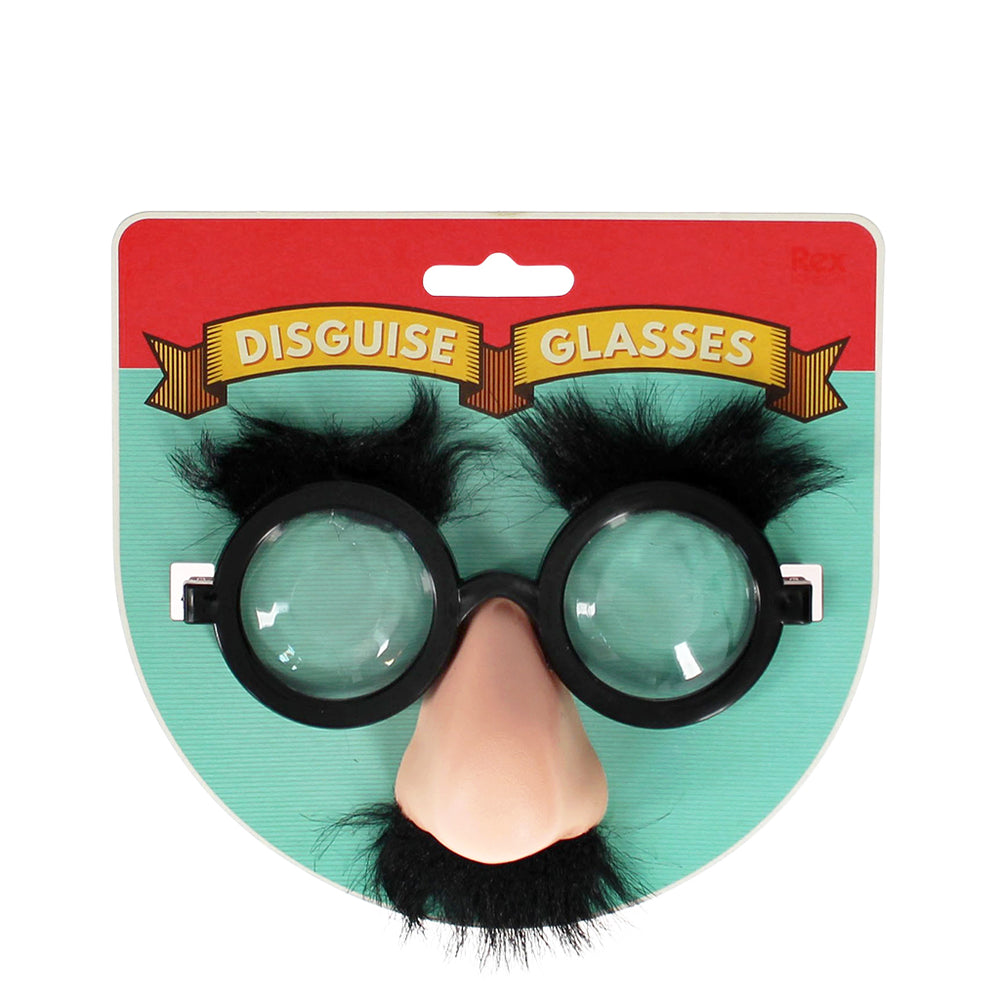 Disguise Glasses