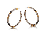 Kathryn Resin Hoop Earrings - Cappuccino / Brown