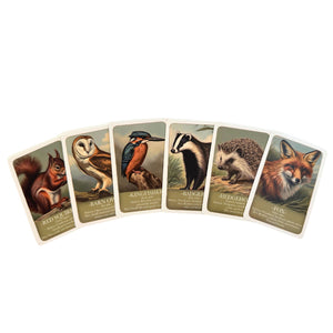 Wildlife Pairs Card Game