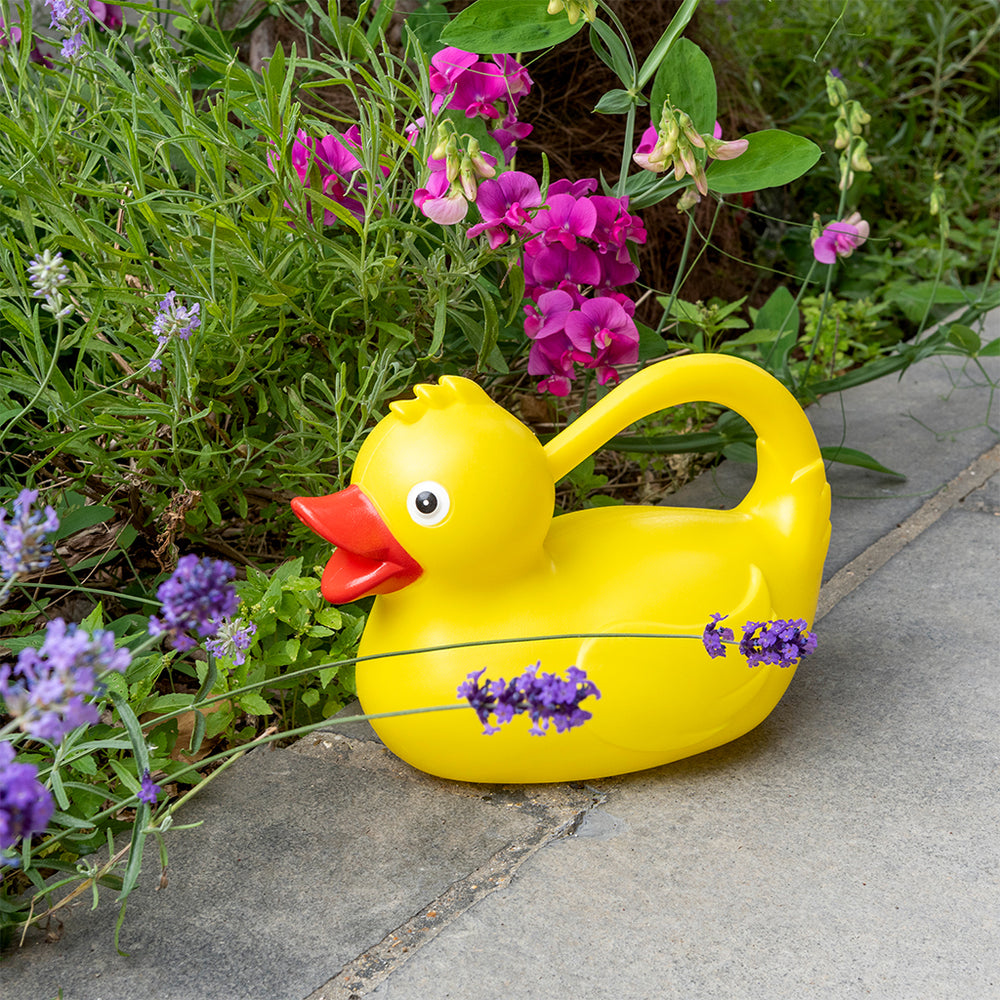 Duck Watering Can