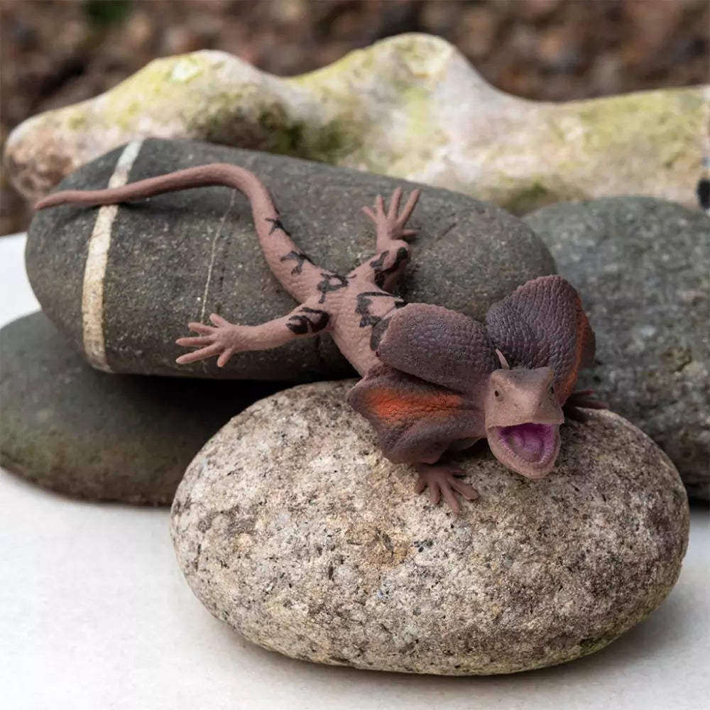 Realistic Frill Necked Lizard Toy