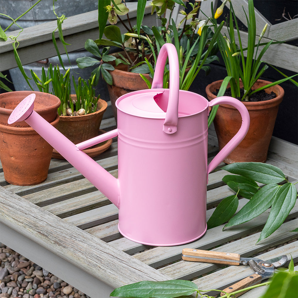 Galvanised Steel Watering Can - Pink