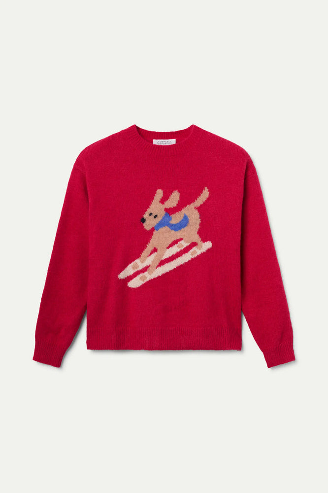 Jumper - Skiing Dog