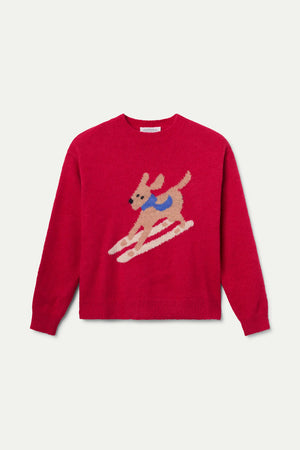 Jumper - Skiing Dog