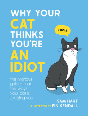 Why Your Cat Thinks You're An Idiot