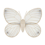 Bella Butterfly Wings