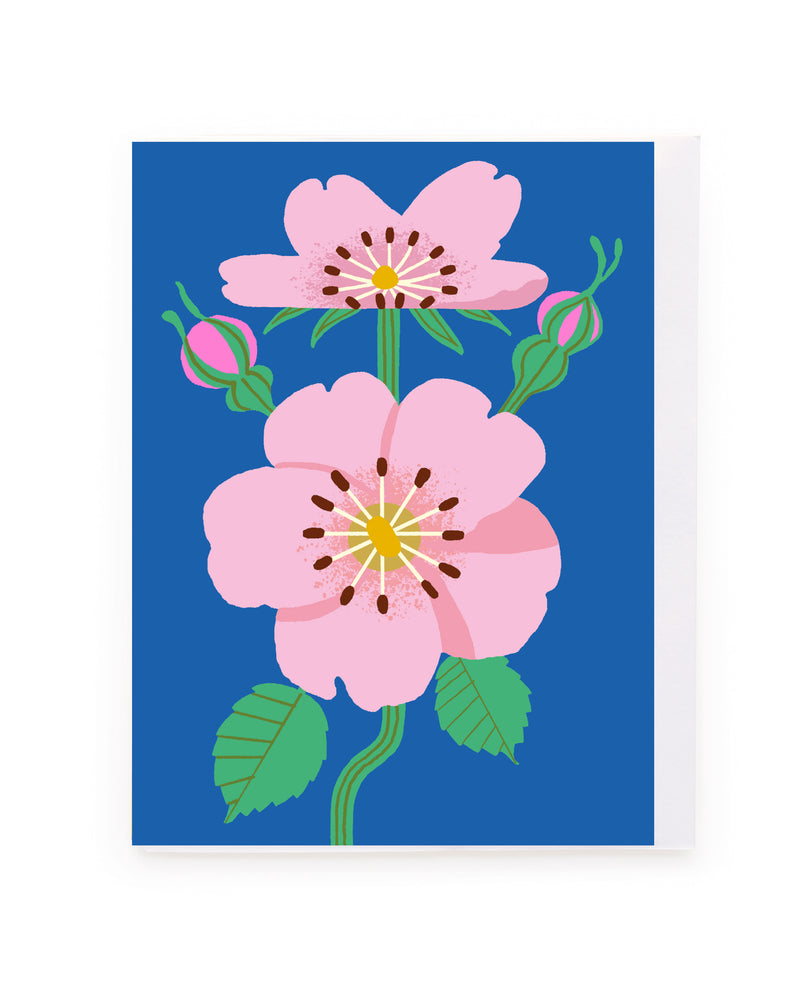 Pink Roses on Blue Card
