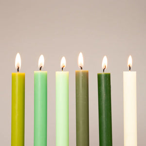 Mixed Box of 12 Tall Candles - Spring Greens