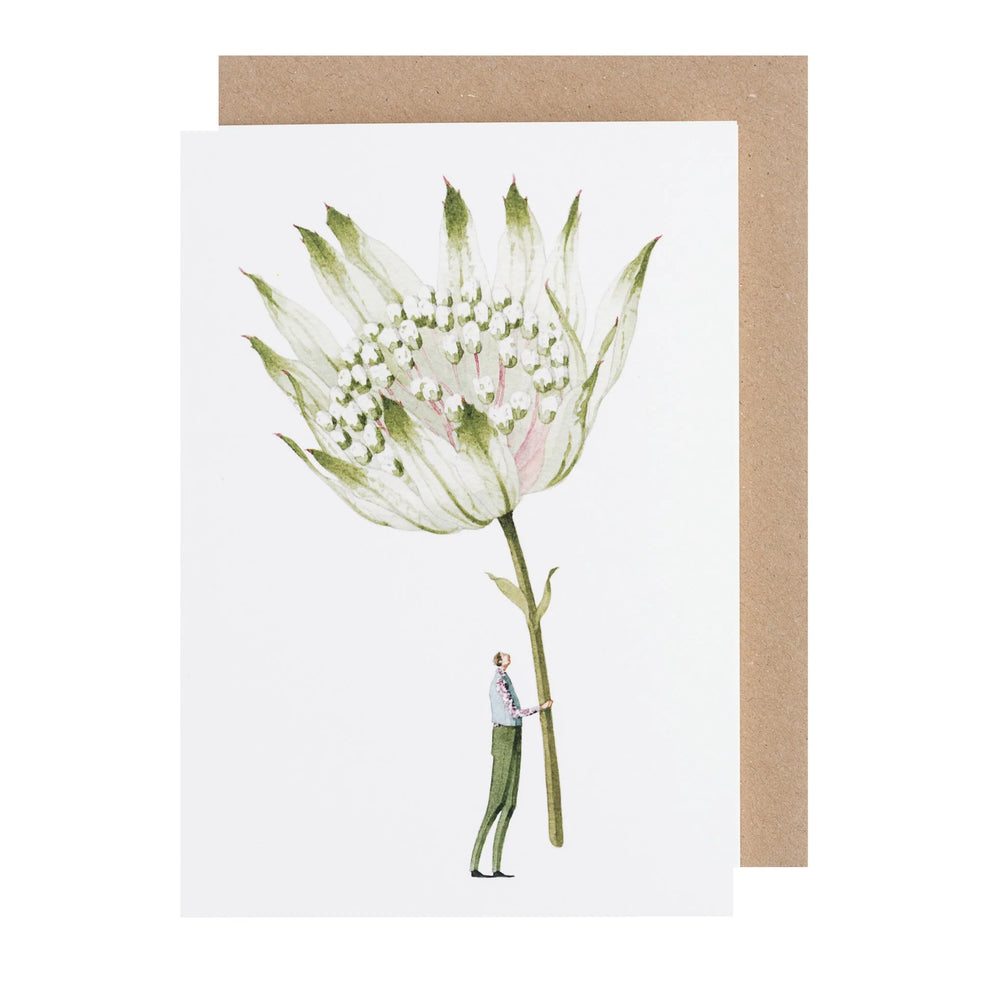 Green Astrantia Card