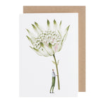 Green Astrantia Card