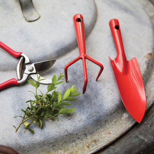 Red Mini Garden Fork