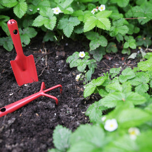 Red Mini Garden Fork