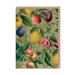 Marble Fruit Greeting Card