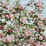 Apple Blossom card