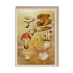 Marble Funghi Greeting Card