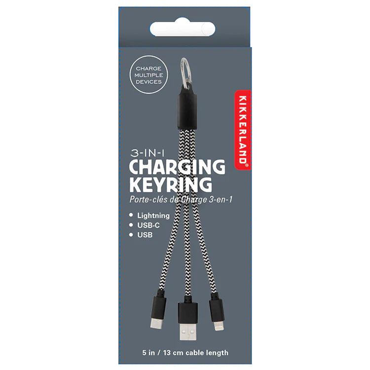 3 in 1 Charging Keyring