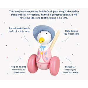 Boxed Push Along Jemima Puddle-Duck
