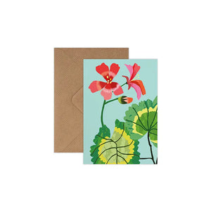 Brie Harrison Greetings Card Pack of 8 - Geranium