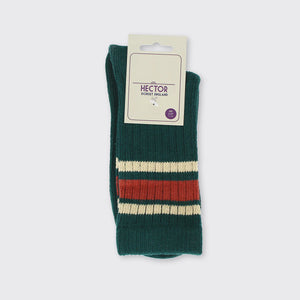 Men's Socks - Green Striped