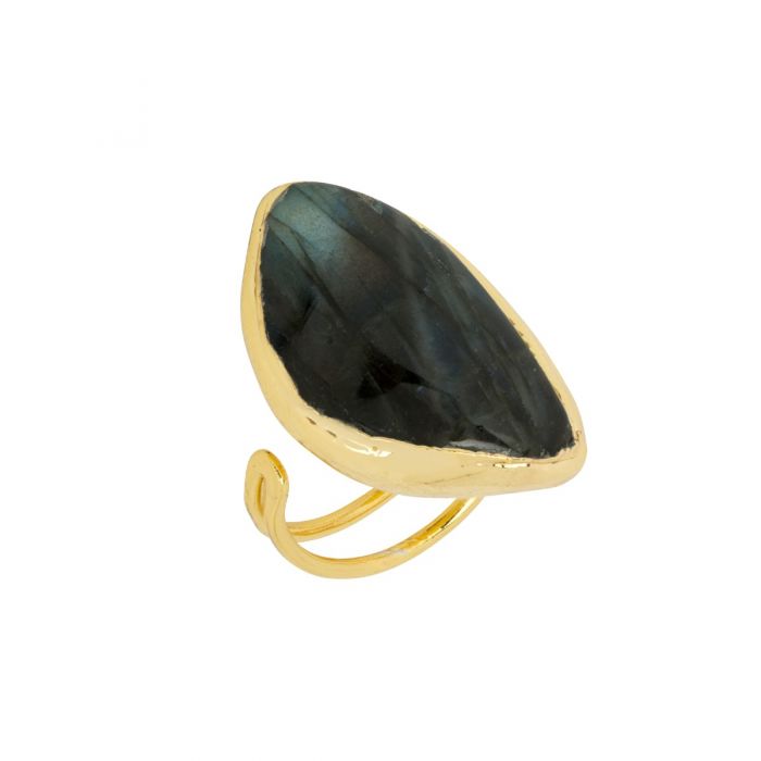 Canyon Labradorite Adjustable Ring - Gold