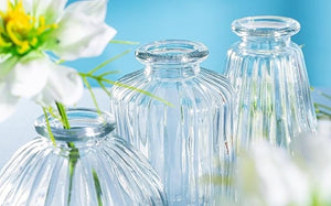 Clear Glass Bud Vases - Set of 3