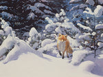 Douglas Anderson - Fox in Deep Snow with Fir Trees