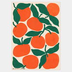 Tangerines Gift Wrap