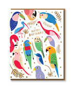 Tropical Feathers Happy Birthday Card