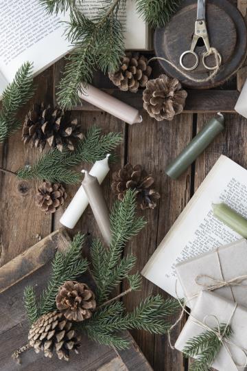 Short Dinner Candle - Forest Green, Pack of 7