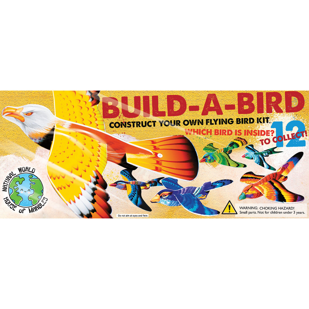 Build A Bird Kit