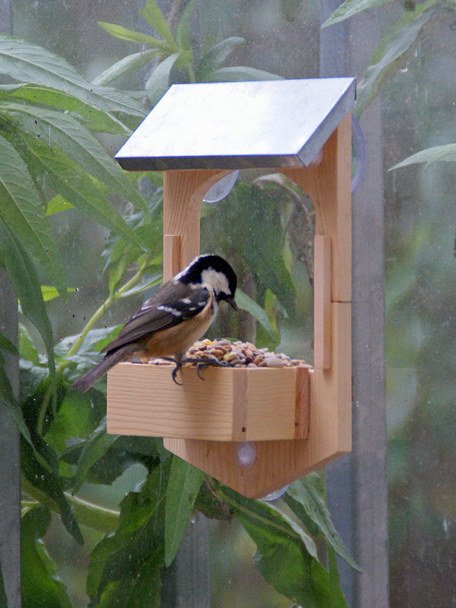 Make Your Own Bird Feeder - Gift In A Tin