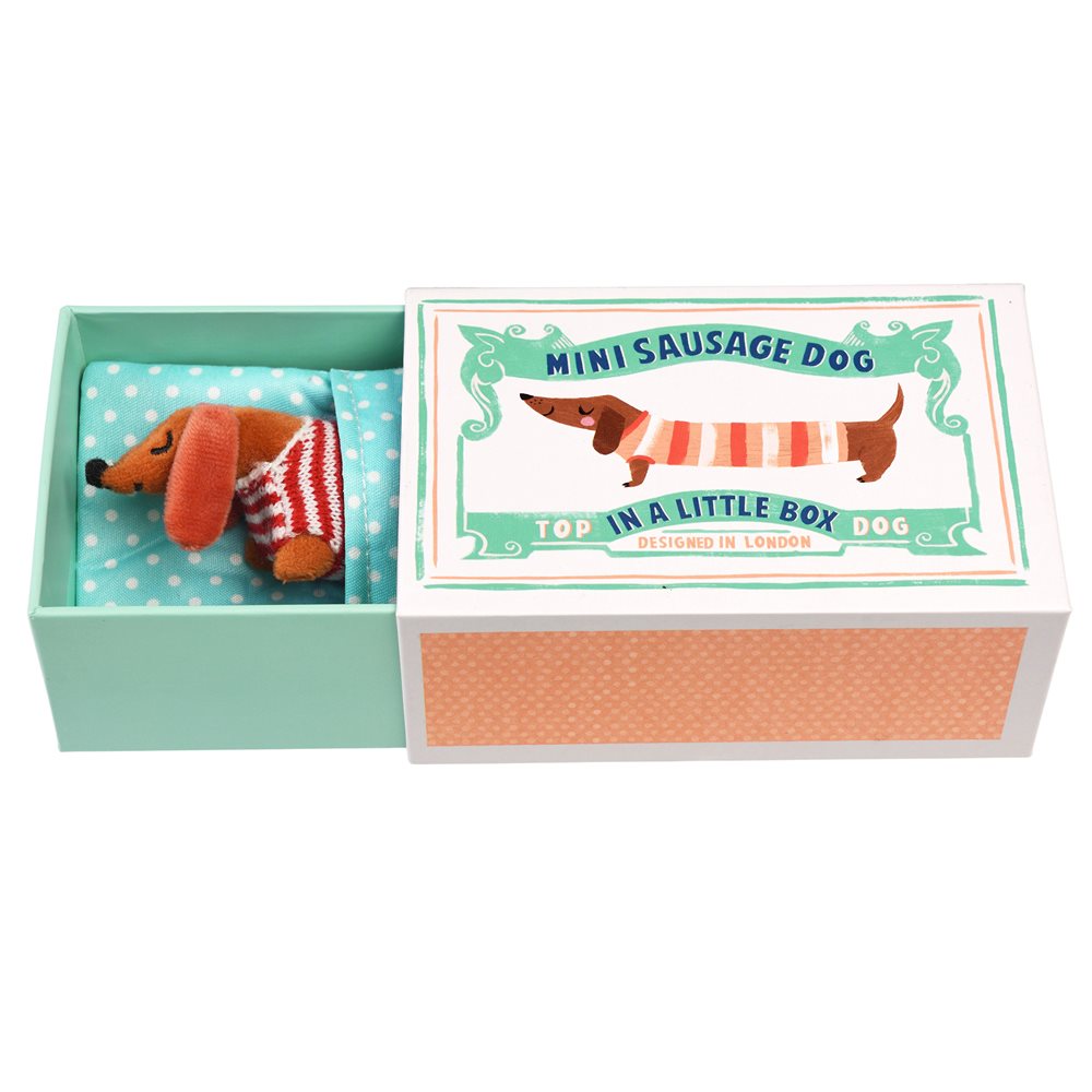 
                
                    Load image into Gallery viewer, Mini Sausage Dog In A Box
                
            