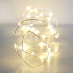 Silver Wire 30 LED Light Strand