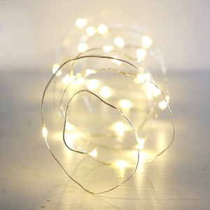 
                
                    Load image into Gallery viewer, Silver Wire 30 LED Light Strand
                
            