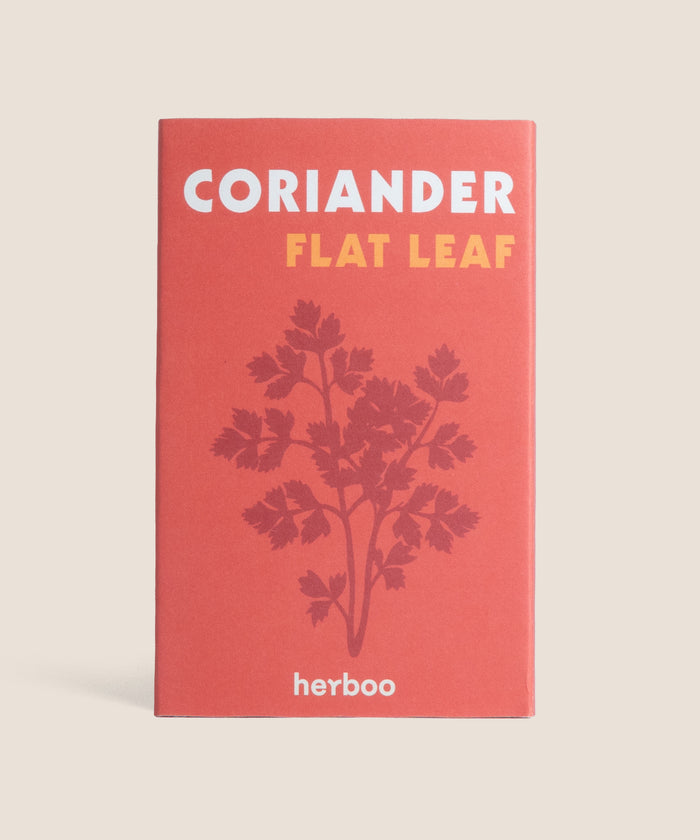Seed Pack - Coriander Flat Leaf