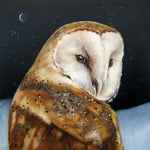 Barn Owl in Snow Greetings Card