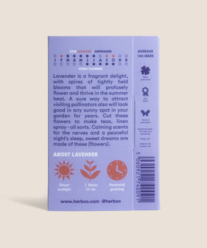Seed Pack - Lavender 'Munstead'