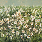Field Of Narcissi Greetings Card