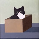 Cat In A Box Greetings Card