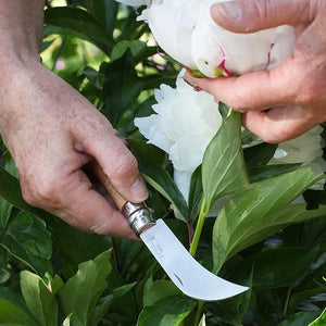 Horticultural Pruning Knife (No. 8)