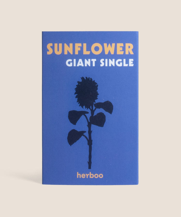 Seed Pack - Sunflower 'Giant Single'